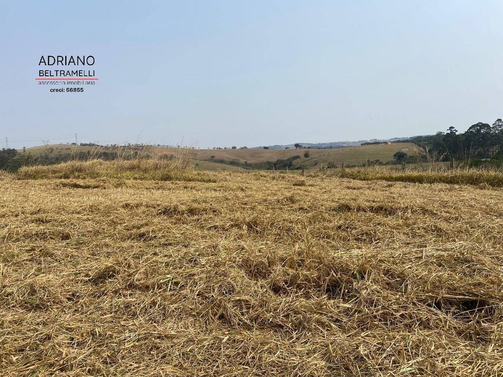 Terreno, 8 hectares - Foto 4