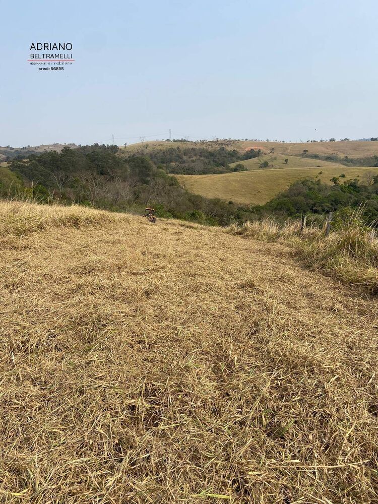 Terreno, 8 hectares - Foto 1