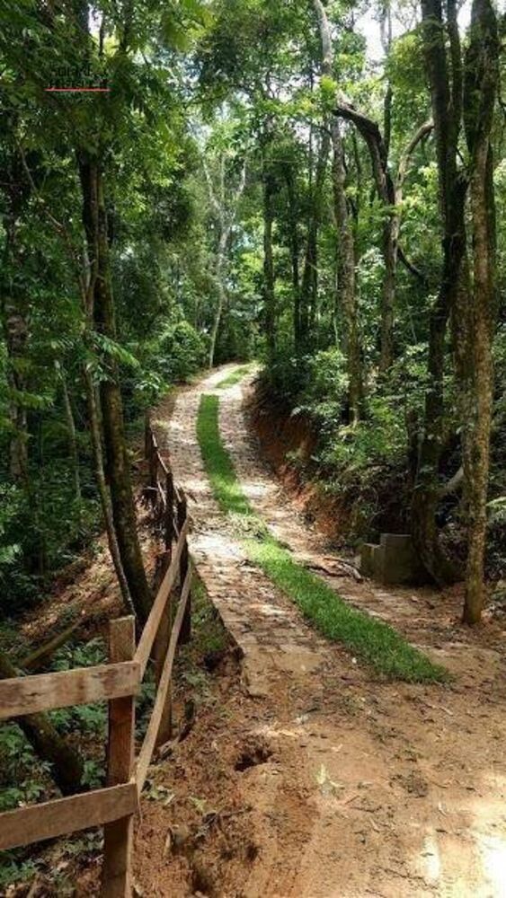 Terreno, 8 hectares - Foto 5