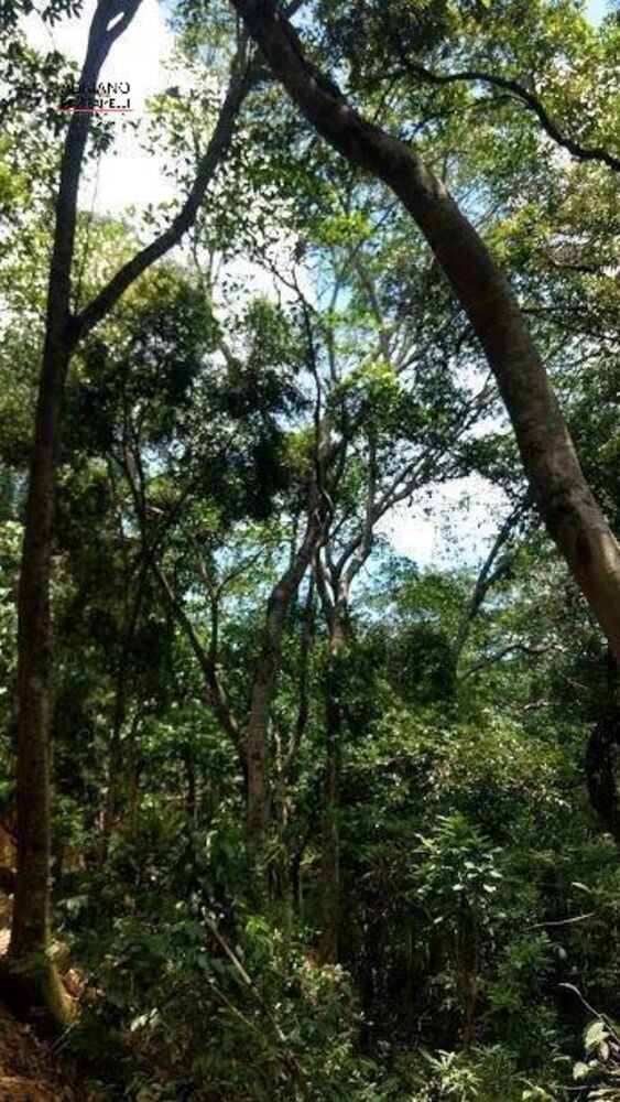 Terreno, 8 hectares - Foto 25