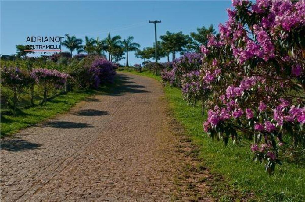 Terreno, 2 hectares - Foto 14