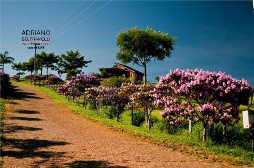 Terreno, 2 hectares - Foto 9