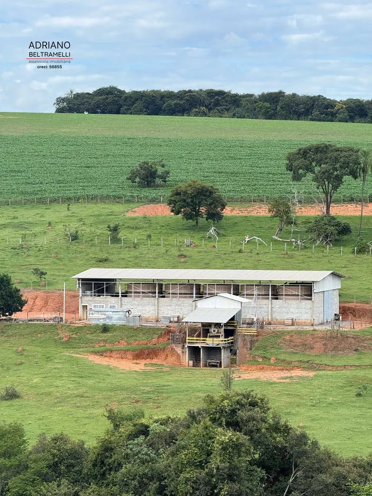 Fazenda, 10 hectares - Foto 3