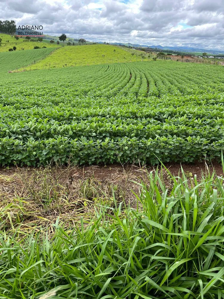 Fazenda, 10 hectares - Foto 8