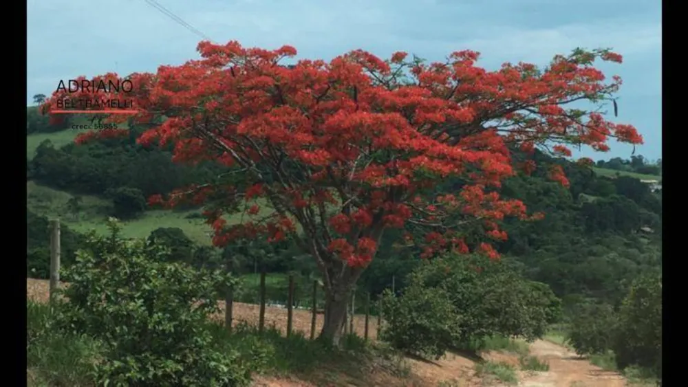 Fazenda, 10 hectares - Foto 4