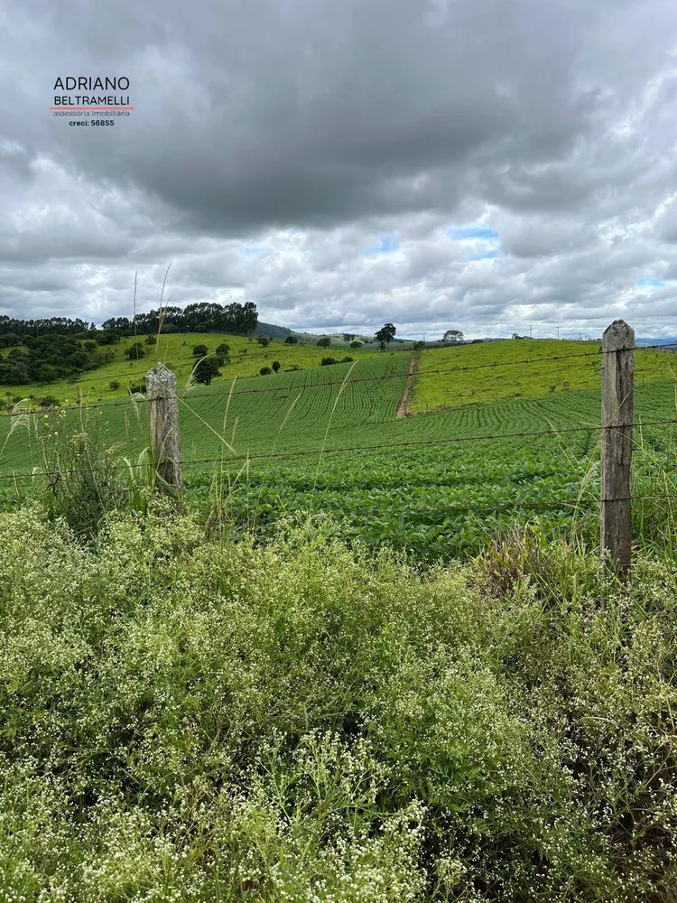 Fazenda, 10 hectares - Foto 10