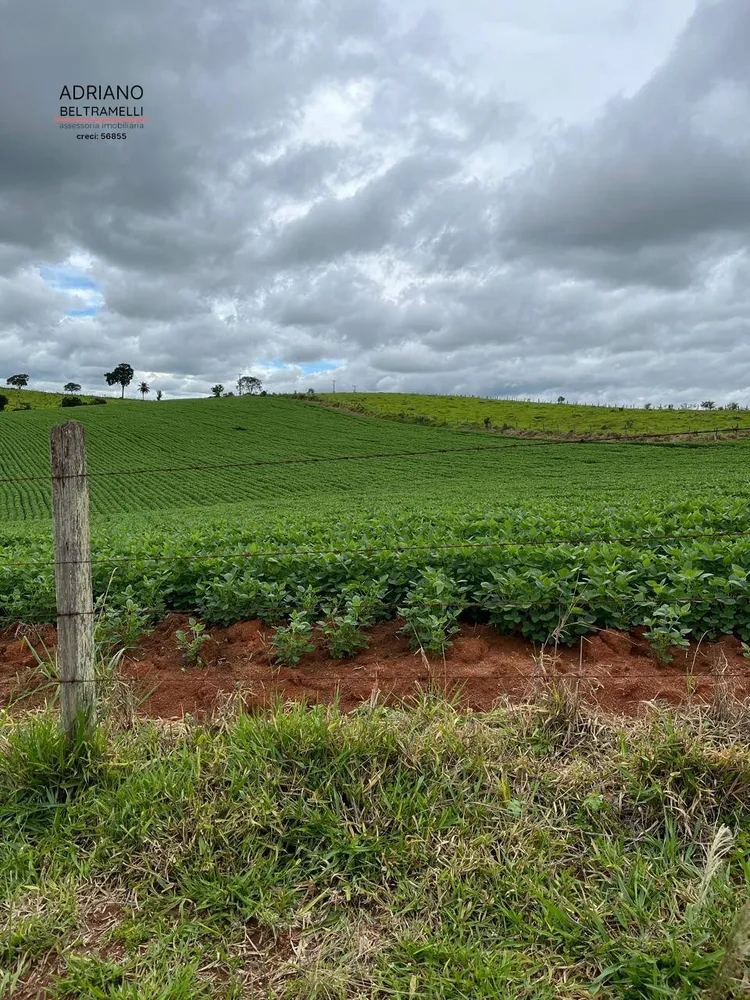 Fazenda, 10 hectares - Foto 6