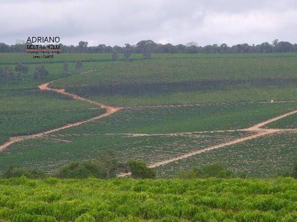 Fazenda, 319 hectares - Foto 5