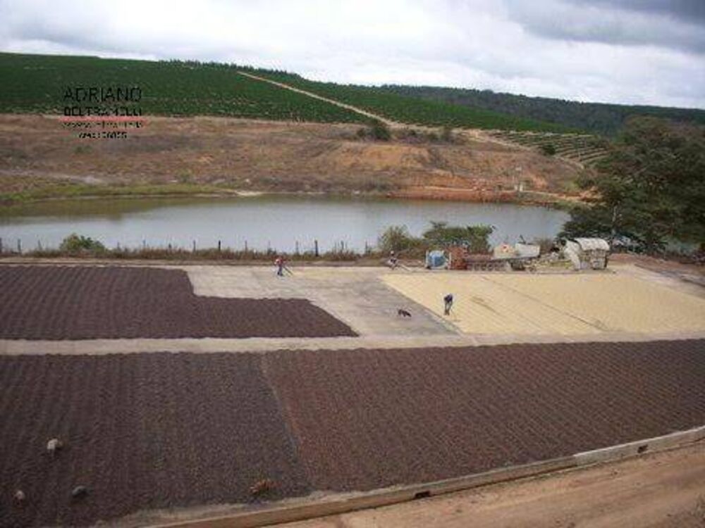 Fazenda, 319 hectares - Foto 4