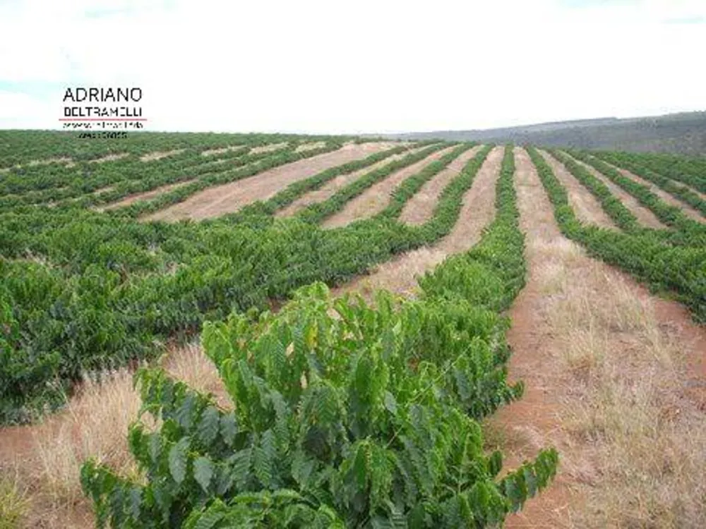 Fazenda, 319 hectares - Foto 3