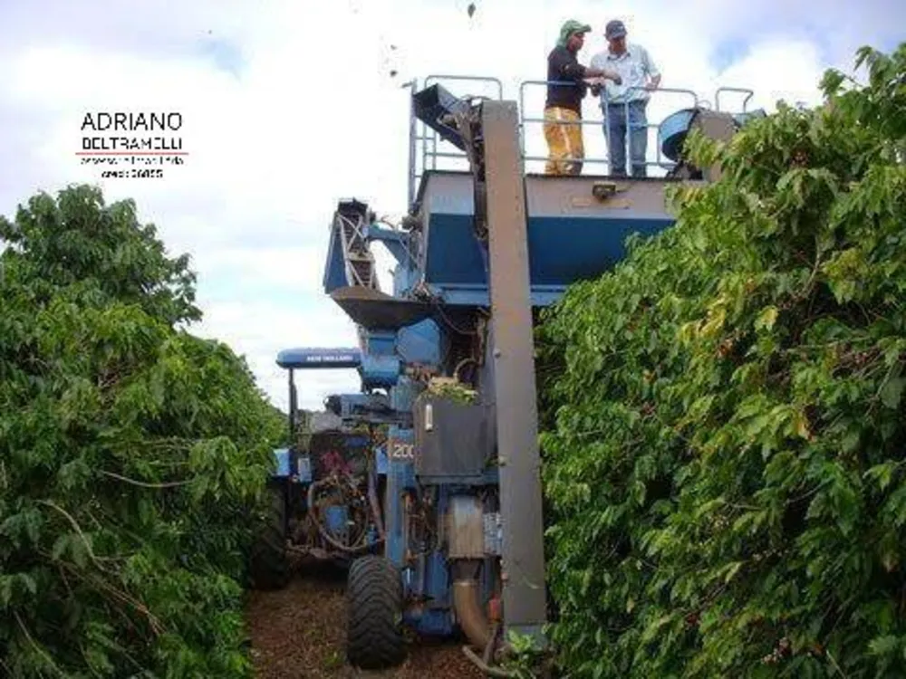 Fazenda, 319 hectares - Foto 8