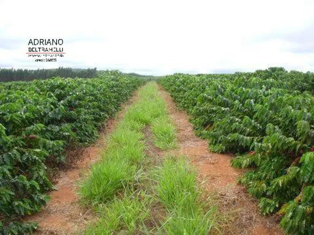 Fazenda, 319 hectares - Foto 17
