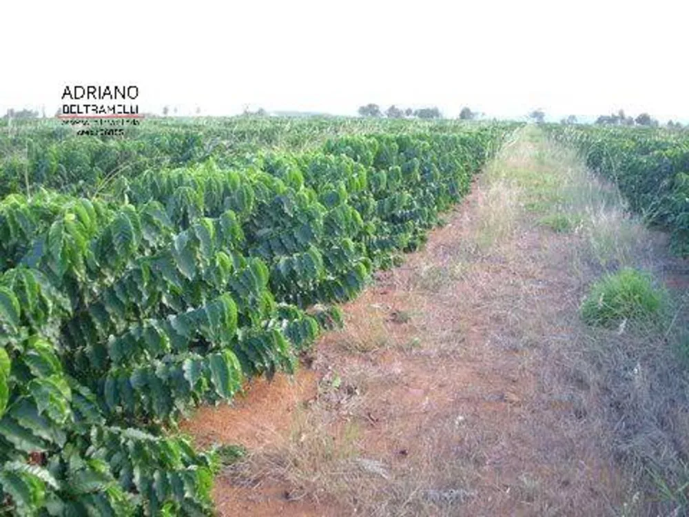 Fazenda, 319 hectares - Foto 20