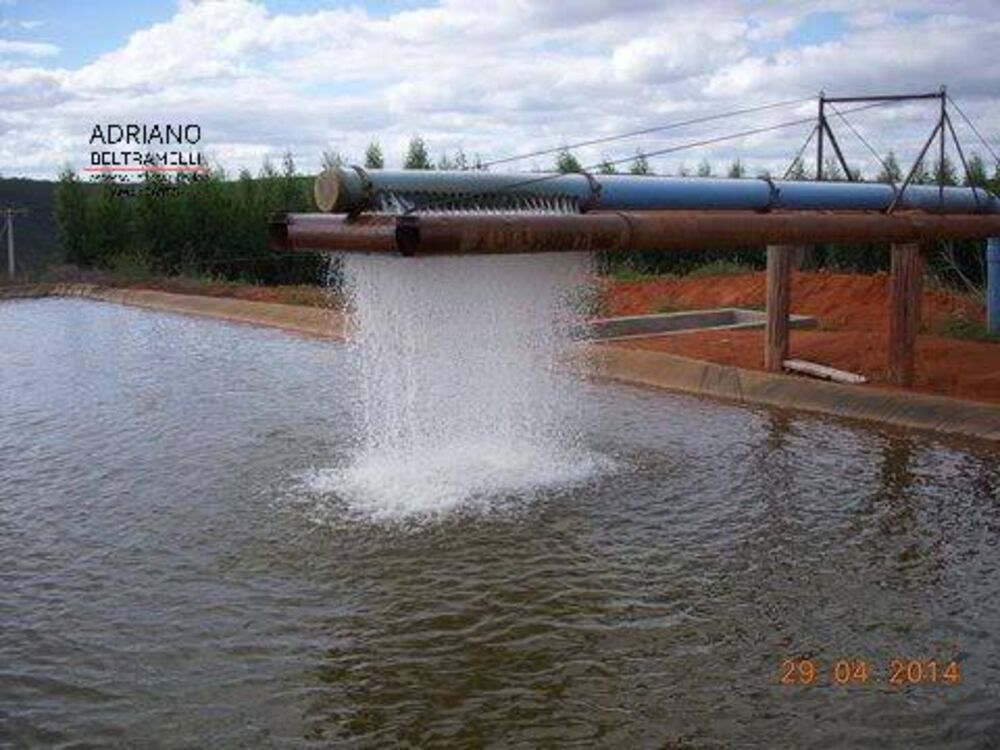 Fazenda, 319 hectares - Foto 7
