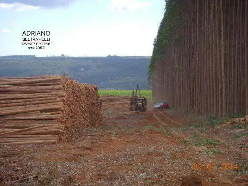 Fazenda, 319 hectares - Foto 14