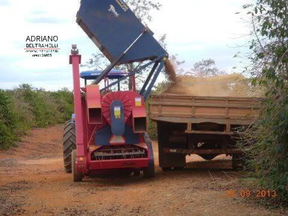 Fazenda, 319 hectares - Foto 2