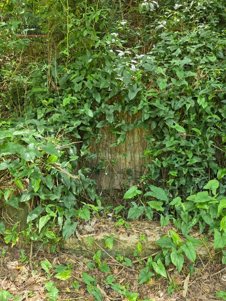 Sítio, 1 quarto, 5 hectares - Foto 11