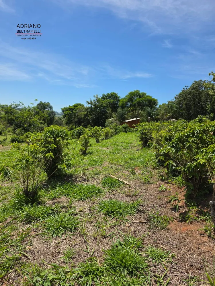 Sítio, 1 quarto, 5 hectares - Foto 2