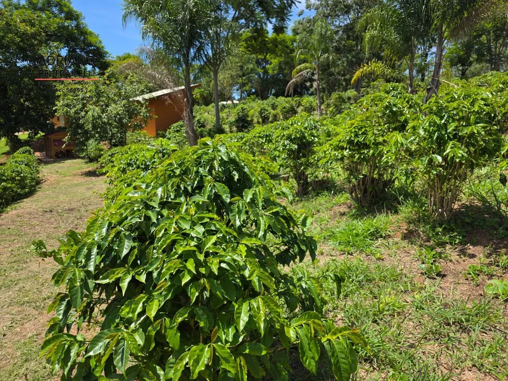 Sítio, 1 quarto, 5 hectares - Foto 1