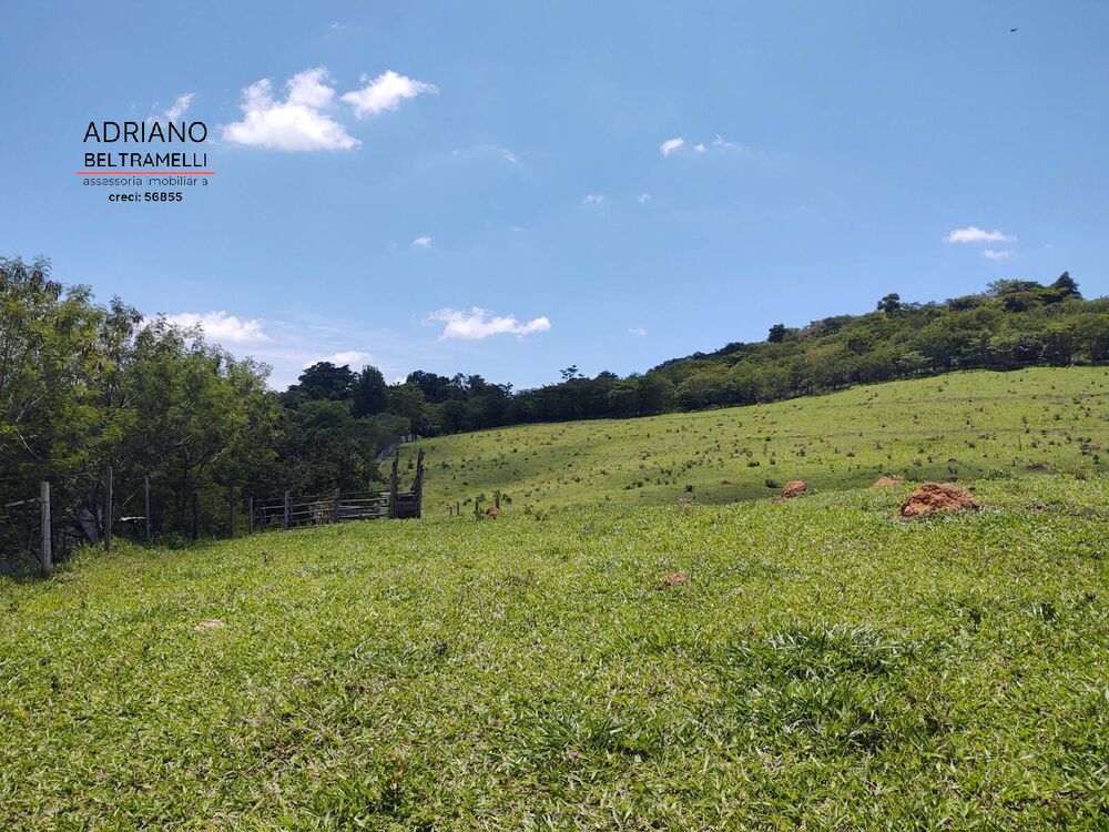Terreno, 3 hectares - Foto 2