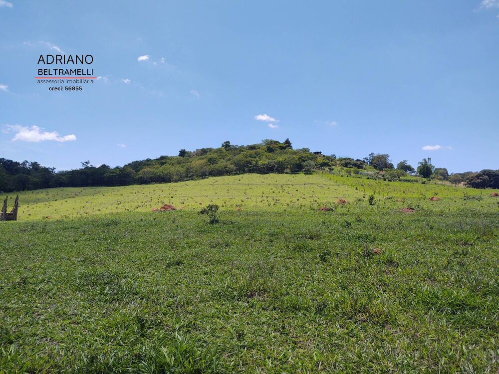 Terreno, 3 hectares - Foto 4