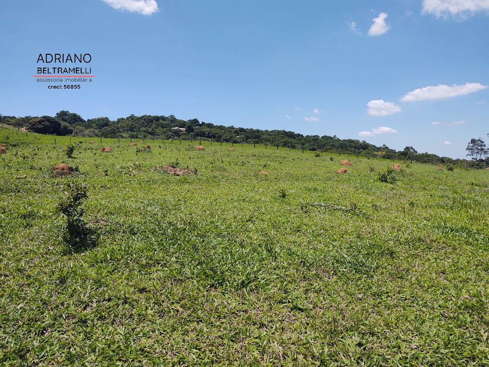 Terreno, 3 hectares - Foto 3