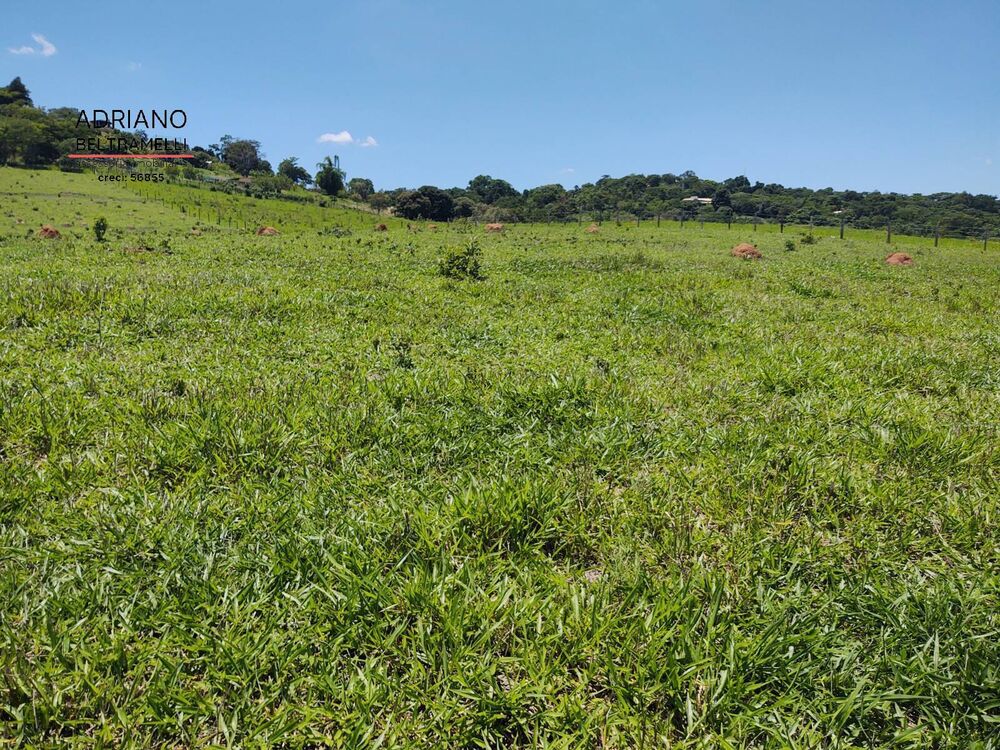Terreno, 3 hectares - Foto 6