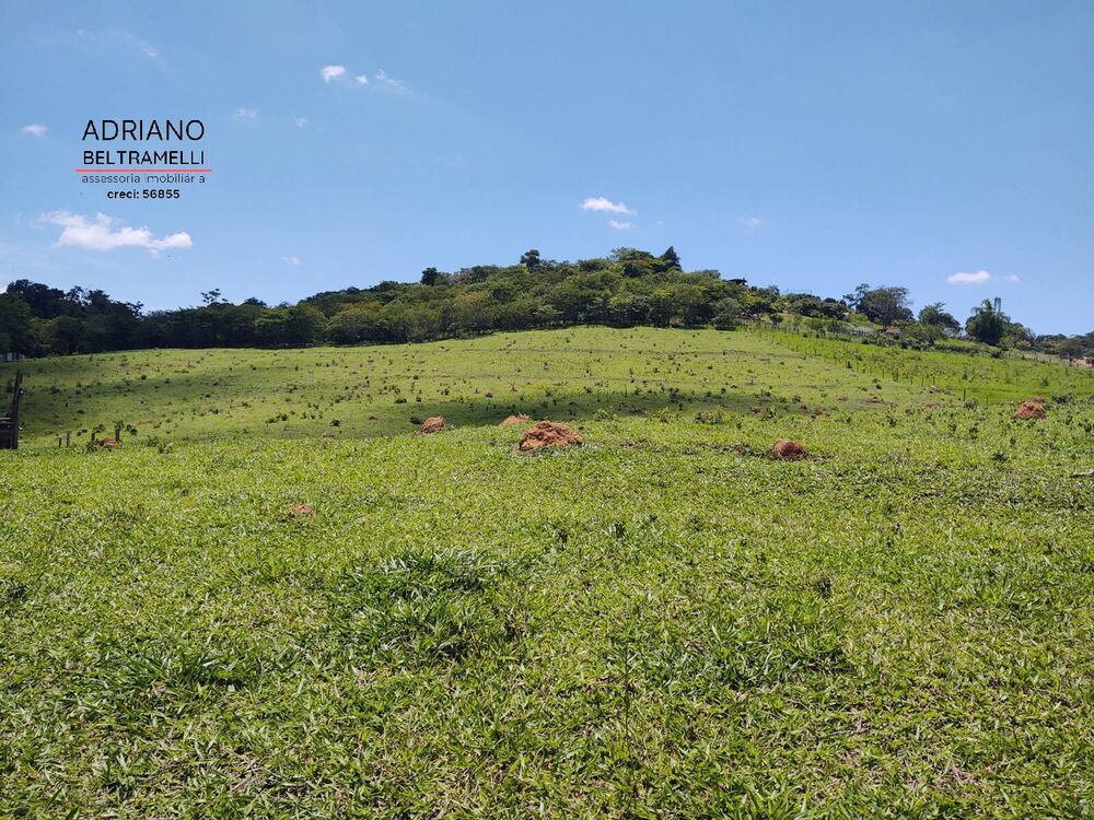 Terreno, 3 hectares - Foto 1