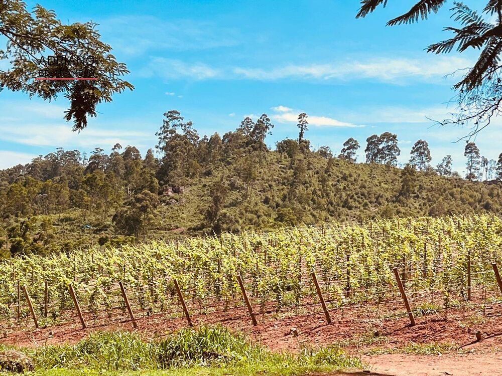 Sítio, 6 quartos, 17 hectares - Foto 27