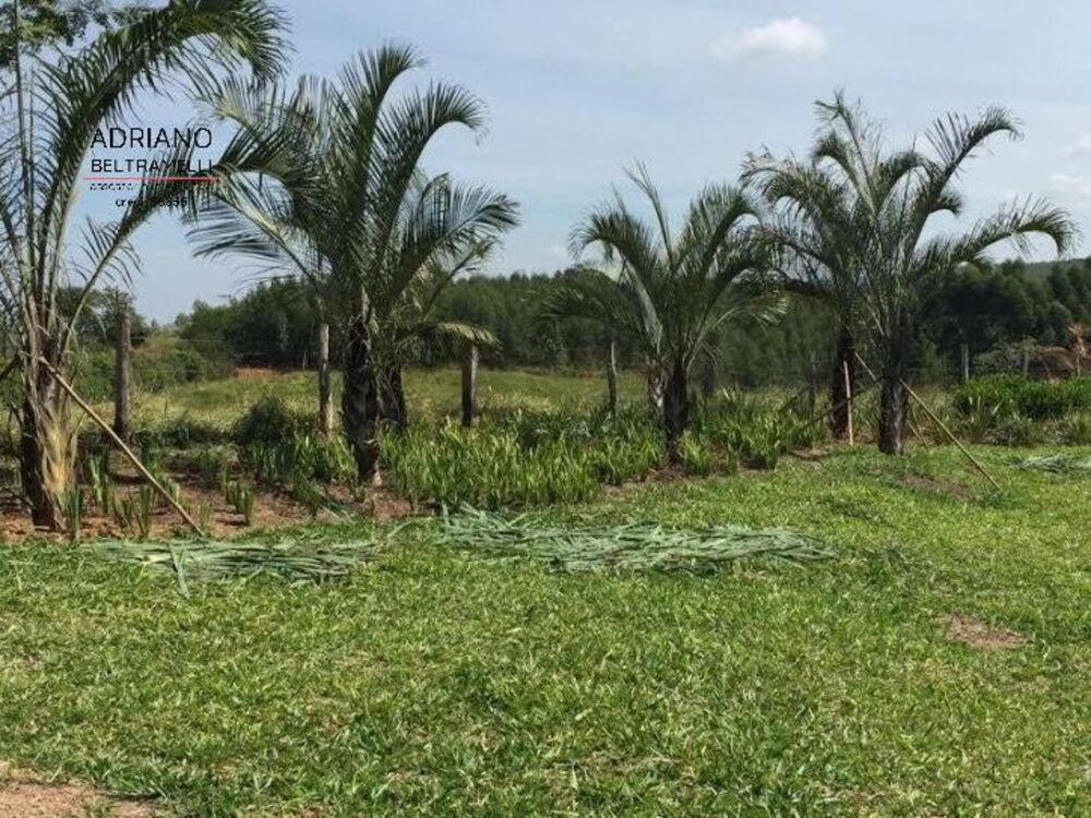 Sítio, 6 quartos, 17 hectares - Foto 19