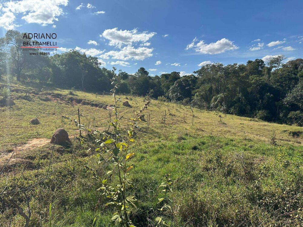 Terreno, 2 hectares - Foto 3