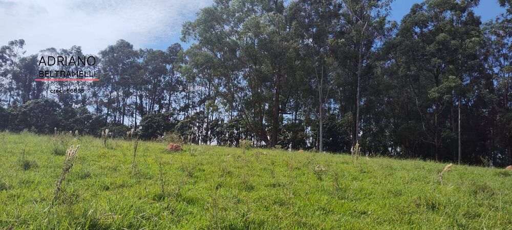 Terreno, 2 hectares - Foto 12