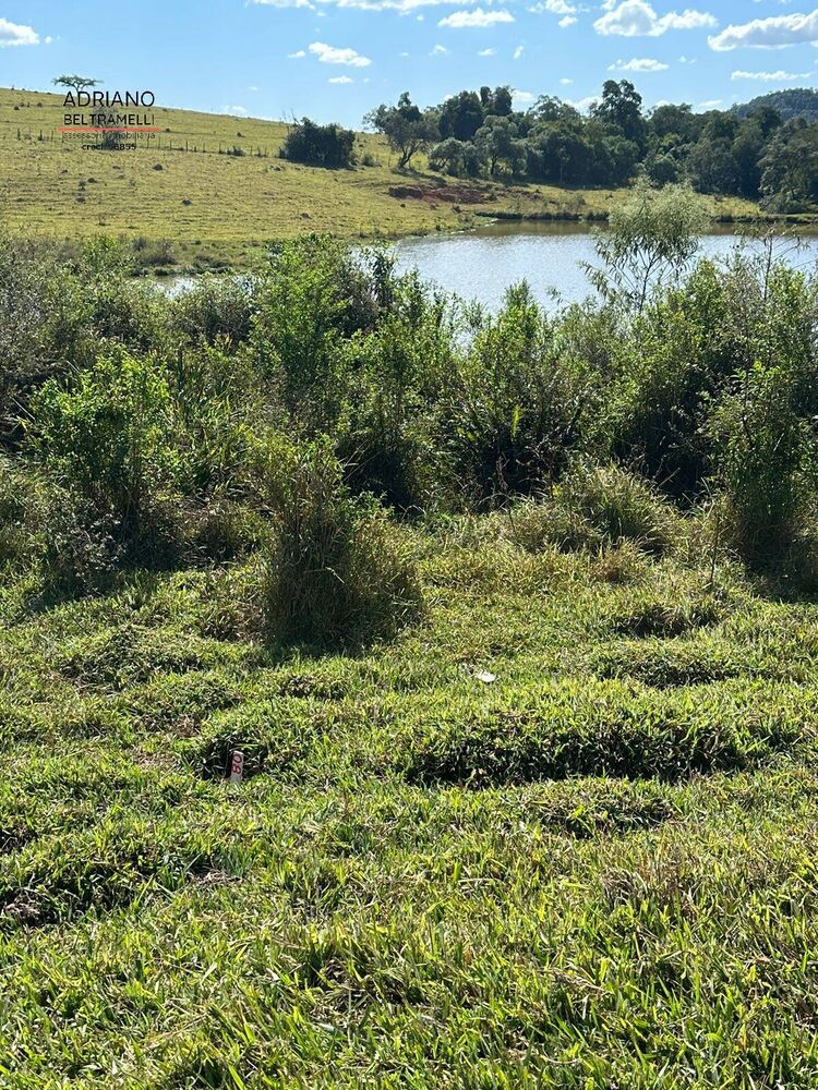 Terreno, 2 hectares - Foto 4