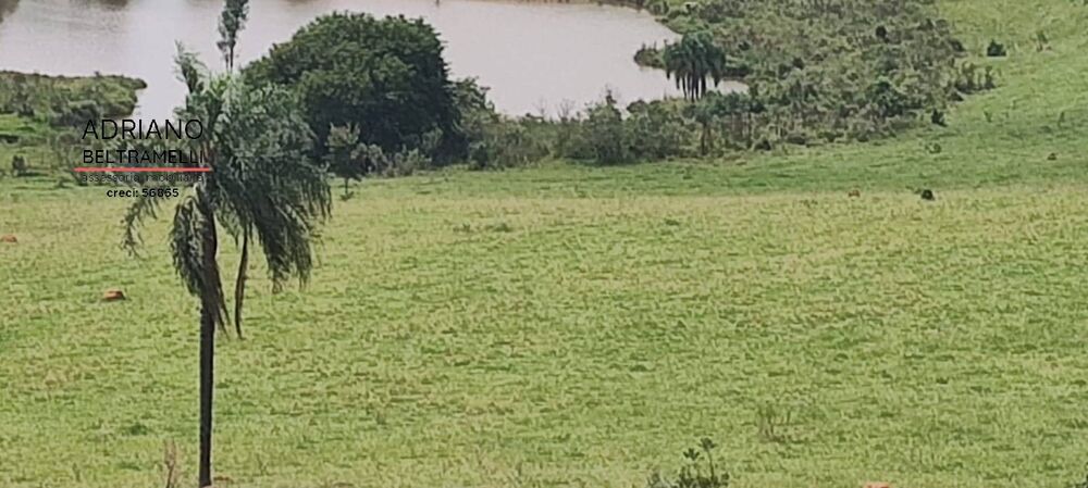 Terreno, 2 hectares - Foto 16