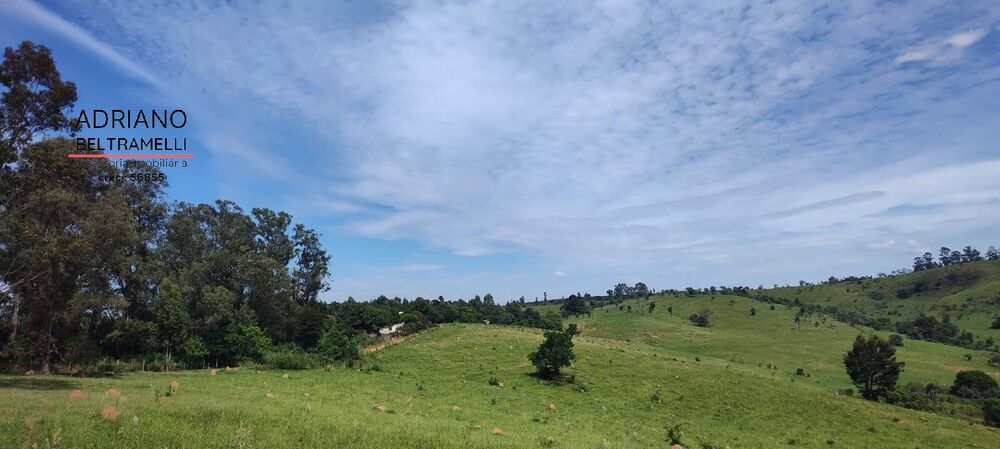 Terreno, 2 hectares - Foto 9