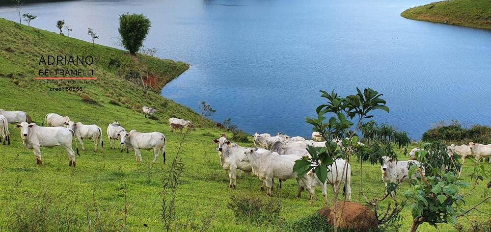 Terreno, 140 m² - Foto 3