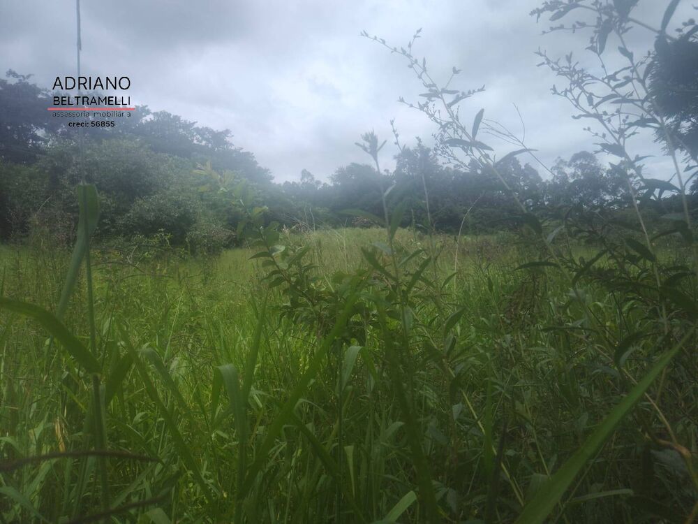 Terreno, 3 hectares - Foto 8