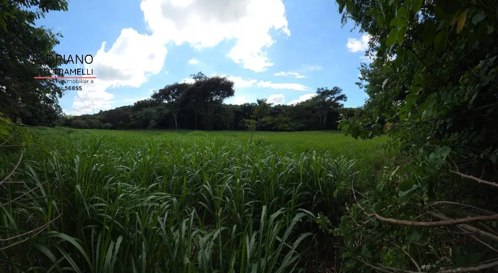 Terreno, 3 hectares - Foto 12