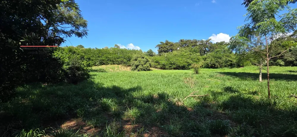 Terreno, 3 hectares - Foto 11
