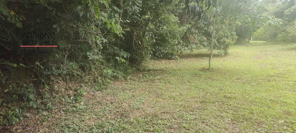 Terreno, 3 hectares - Foto 3