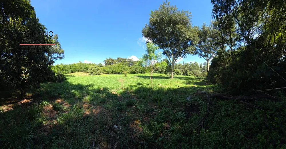 Terreno, 3 hectares - Foto 10
