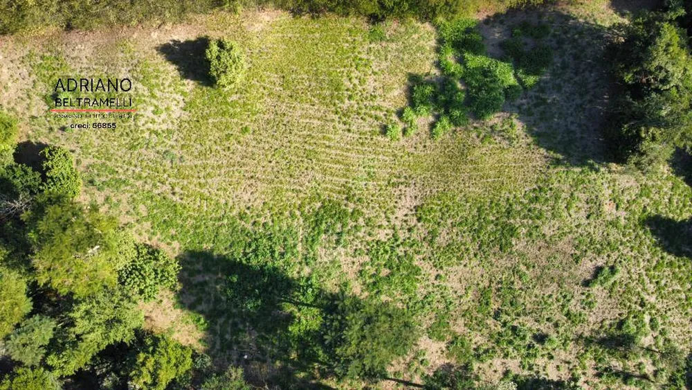 Terreno, 3 hectares - Foto 6
