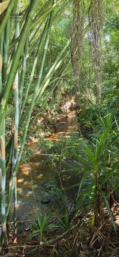 Terreno, 3 hectares - Foto 18