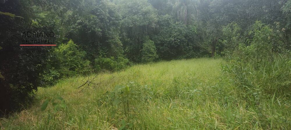 Terreno, 3 hectares - Foto 4