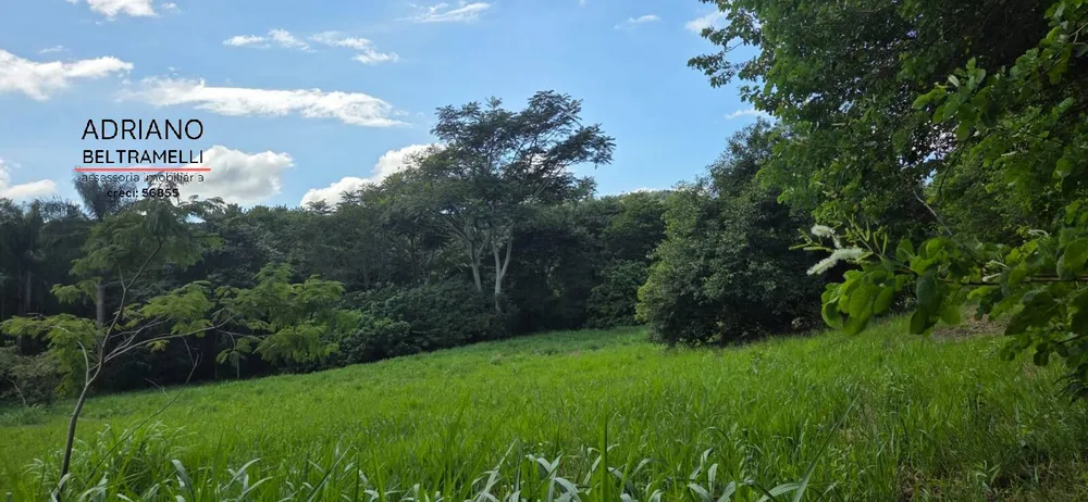 Terreno, 3 hectares - Foto 9