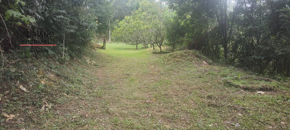 Terreno, 3 hectares - Foto 6