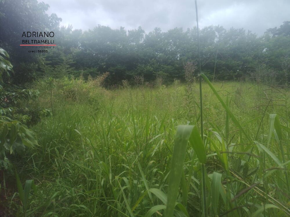 Terreno, 3 hectares - Foto 1