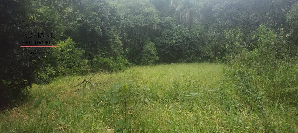 Terreno, 3 hectares - Foto 2