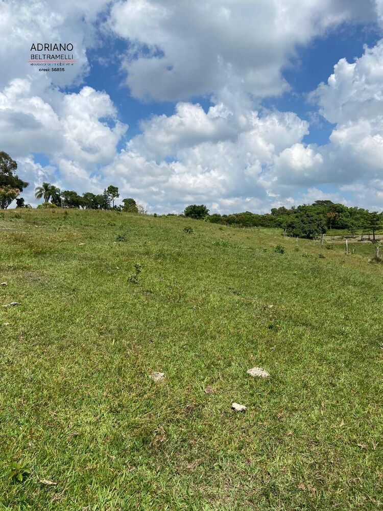 Terreno, 8 hectares - Foto 6