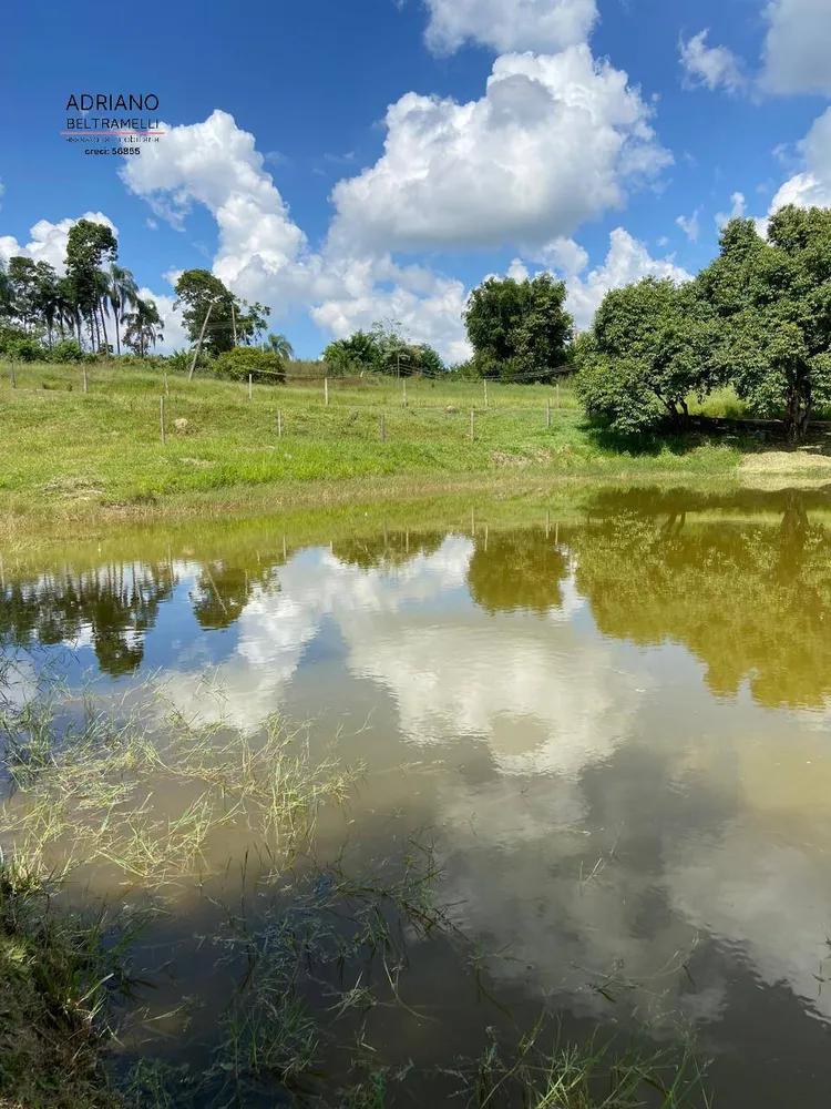 Terreno, 8 hectares - Foto 14